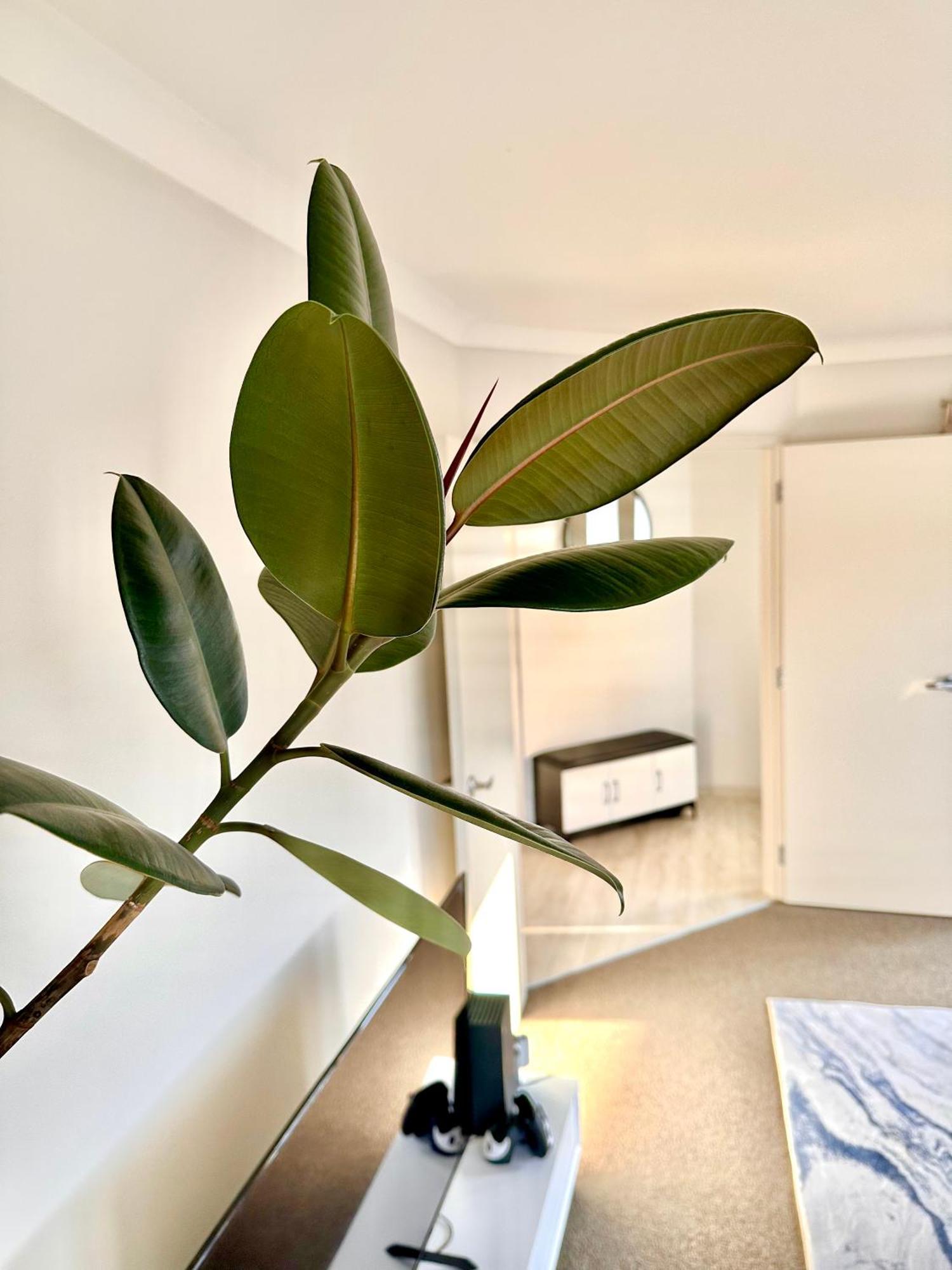 Home Away From Home Tauranga Bagian luar foto