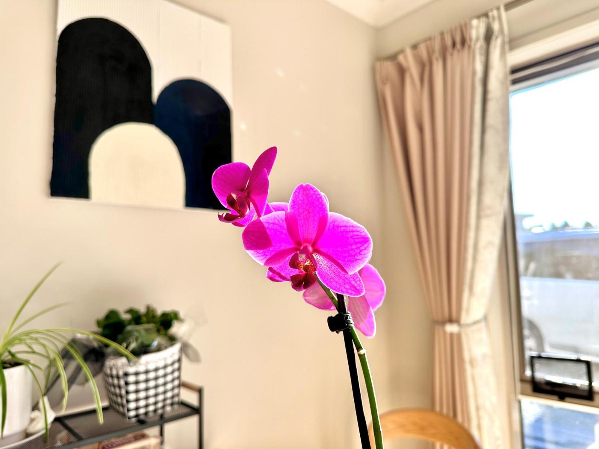 Home Away From Home Tauranga Bagian luar foto